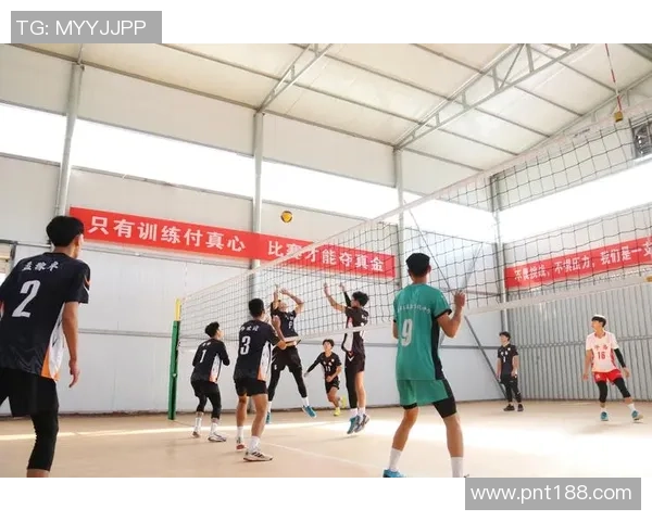 上海排球队在钻石联赛中的技术表现分析与未来展望